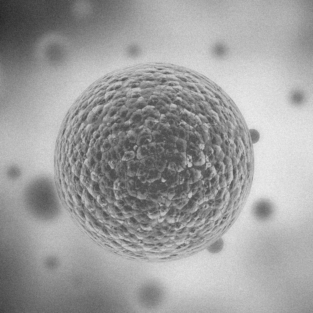 Exosomes Treatment Wellington Exosomes Treatment Wellington